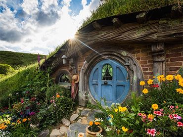 Hobbiton Movie Set and Farm Tours